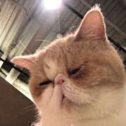 ヒメ日記 2025/09/25 02:56 投稿 ちくわ ギャルズネットワーク神戸