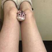 ヒメ日記 2025/10/21 02:46 投稿 ちくわ ギャルズネットワーク神戸