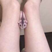 ヒメ日記 2025/12/14 05:56 投稿 ちくわ ギャルズネットワーク神戸