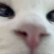 ヒメ日記 2025/12/14 06:06 投稿 ちくわ クラブバレンタイン神戸西店