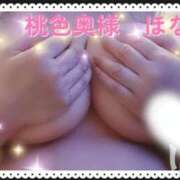 ヒメ日記 2025/08/18 09:45 投稿 ほなみ 桃色奥様 松戸本店