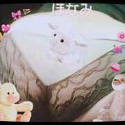 ヒメ日記 2025/09/12 22:54 投稿 ほなみ 桃色奥様 松戸本店