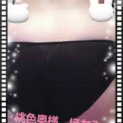 ヒメ日記 2025/10/08 21:43 投稿 ほなみ 桃色奥様 松戸本店