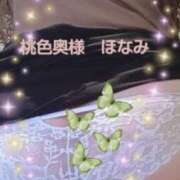 ヒメ日記 2025/10/31 13:52 投稿 ほなみ 桃色奥様 松戸本店