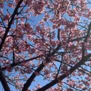 ヒメ日記 2025/07/10 12:19 投稿 あすか 桃色奥様 松戸本店