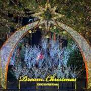 ヒメ日記 2025/11/12 11:13 投稿 あすか 桃色奥様 松戸本店