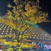 ヒメ日記 2025/11/21 11:05 投稿 あすか 桃色奥様 松戸本店