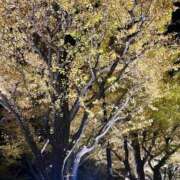 ヒメ日記 2025/11/26 16:28 投稿 あすか 桃色奥様 松戸本店