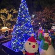 ヒメ日記 2025/12/21 10:58 投稿 あすか 桃色奥様 松戸本店