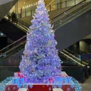 ヒメ日記 2026/01/27 08:04 投稿 あすか 桃色奥様 松戸本店