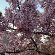 ヒメ日記 2026/03/24 14:29 投稿 あすか 桃色奥様 松戸本店