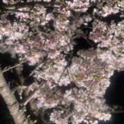 柳井ゆき 出勤します❣️ 恋する奥さん 西中島店