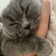 ヒメ日記 2025/10/05 11:06 投稿 聖愛(まりあ) 相模原人妻城