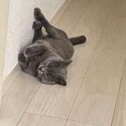 ヒメ日記 2025/10/11 12:39 投稿 聖愛(まりあ) 相模原人妻城