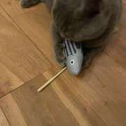 ヒメ日記 2025/10/28 09:48 投稿 聖愛(まりあ) 相模原人妻城