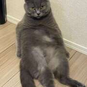 ヒメ日記 2025/12/23 17:33 投稿 聖愛(まりあ) 相模原人妻城