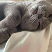 ヒメ日記 2025/12/31 05:18 投稿 聖愛(まりあ) 相模原人妻城