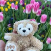 ヒメ日記 2026/01/14 07:33 投稿 聖愛(まりあ) 相模原人妻城