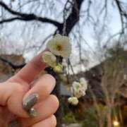 ヒメ日記 2026/01/18 12:03 投稿 聖愛(まりあ) 相模原人妻城