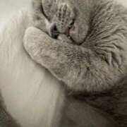 ヒメ日記 2026/03/29 14:48 投稿 聖愛(まりあ) 相模原人妻城