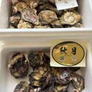 ヒメ日記 2026/03/11 19:19 投稿 青山みさと ウルトラハピネス