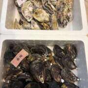 ヒメ日記 2026/03/19 23:29 投稿 青山みさと ウルトラハピネス