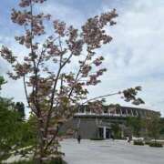 青山みさと 🍉おはよー ウルトラハピネス