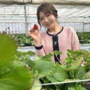 ヒメ日記 2025/03/14 12:10 投稿 海老名 ANECOTE