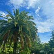 ヒメ日記 2025/08/15 07:27 投稿 海老名 ANECOTE