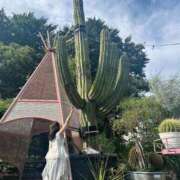 ヒメ日記 2025/08/29 07:22 投稿 海老名 ANECOTE