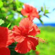 ヒメ日記 2025/09/10 07:29 投稿 海老名 ANECOTE