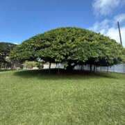 ヒメ日記 2025/09/11 21:55 投稿 海老名 ANECOTE