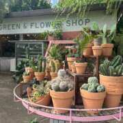 ヒメ日記 2025/10/22 17:30 投稿 海老名 ANECOTE