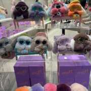 ヒメ日記 2025/10/26 20:43 投稿 海老名 ANECOTE