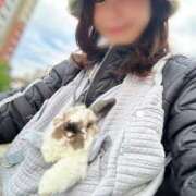 ヒメ日記 2025/11/10 21:00 投稿 海老名 ANECOTE