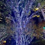 ヒメ日記 2025/11/15 21:45 投稿 海老名 ANECOTE