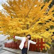 ヒメ日記 2025/11/28 21:25 投稿 海老名 ANECOTE