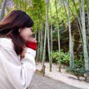 ヒメ日記 2025/12/28 08:01 投稿 海老名 ANECOTE