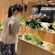 ヒメ日記 2026/02/08 06:12 投稿 海老名 ANECOTE