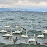 ヒメ日記 2026/02/11 19:17 投稿 海老名 ANECOTE