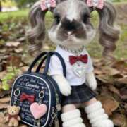 ヒメ日記 2026/03/01 20:08 投稿 海老名 ANECOTE