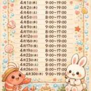 ヒメ日記 2026/03/20 07:32 投稿 海老名 ANECOTE