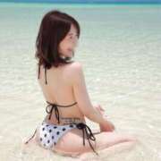 ヒメ日記 2026/04/11 20:46 投稿 海老名 ANECOTE