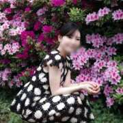 ヒメ日記 2026/04/16 07:23 投稿 海老名 ANECOTE