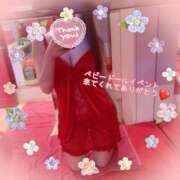 ヒメ日記 2025/11/05 08:37 投稿 ななこ べっぴんコレクション