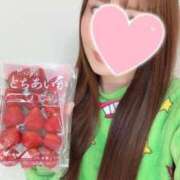 ヒメ日記 2024/12/20 11:00 投稿 きらら 紳士の嗜み 大宮