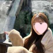 ヒメ日記 2025/04/10 10:15 投稿 きらら 紳士の嗜み 大宮