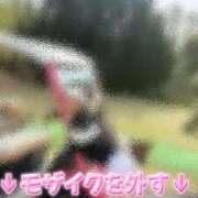 ヒメ日記 2025/04/20 00:00 投稿 きらら 紳士の嗜み 大宮