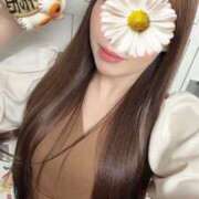 ヒメ日記 2025/04/26 02:50 投稿 きらら 紳士の嗜み 大宮