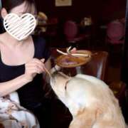 ヒメ日記 2025/06/28 06:28 投稿 きらら 紳士の嗜み 大宮